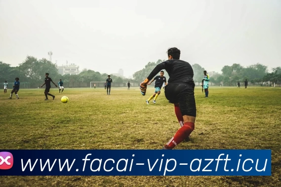 数据防护可视化